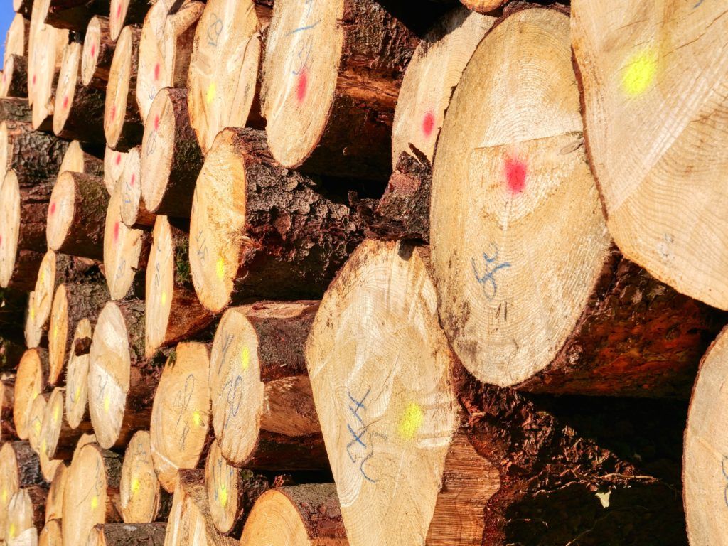 Log4J – A 10 step mitigation plan