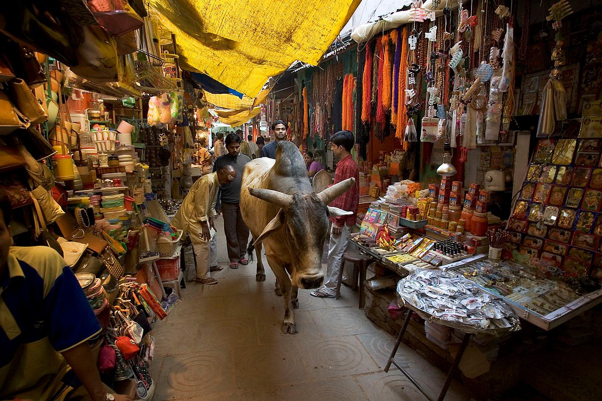 Cow walking through an Indian Marketplace